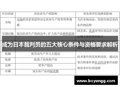 成为日本裁判员的五大核心条件与资格要求解析