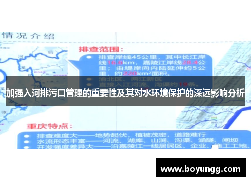 加强入河排污口管理的重要性及其对水环境保护的深远影响分析
