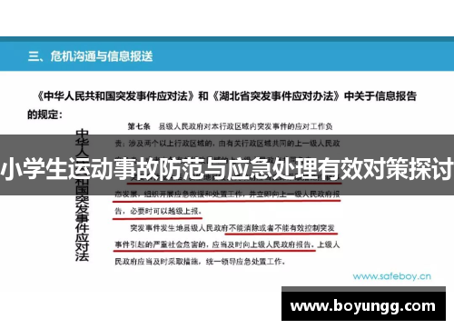 小学生运动事故防范与应急处理有效对策探讨
